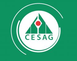 Teasers_concours_cesag_1